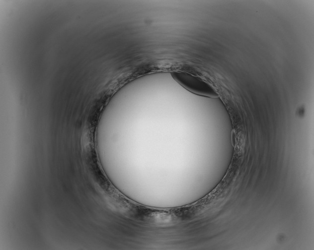 X0000100360272200806060830
