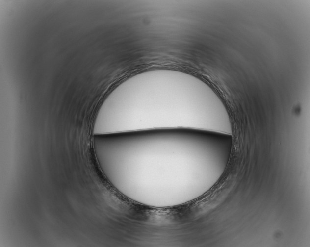 X0000100360273200806060830