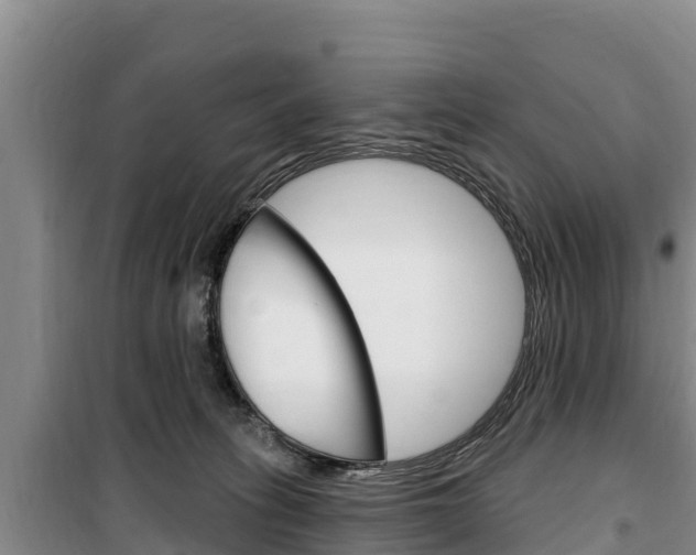 X0000100360275200806060830