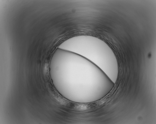 X0000100360276200806060830