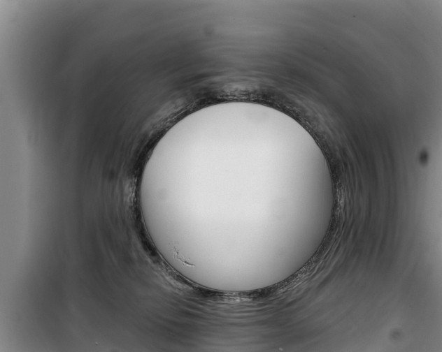 X0000100360278200806060830