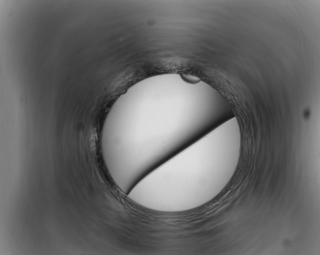 X0000100360279200806060830
