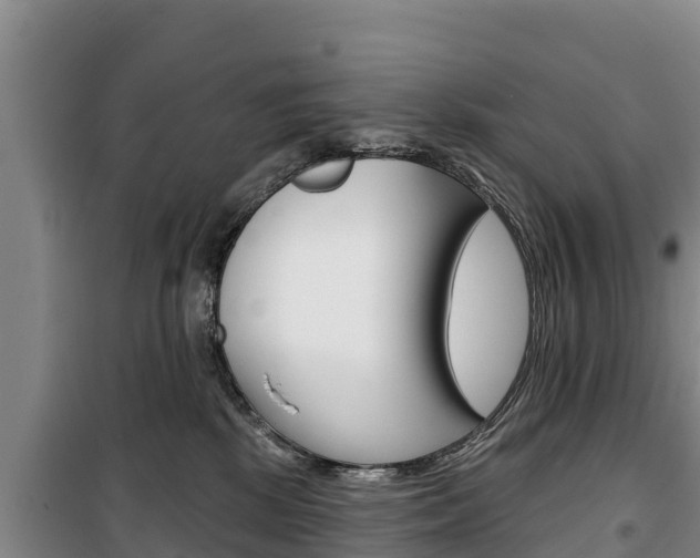 X0000100360281200806060830