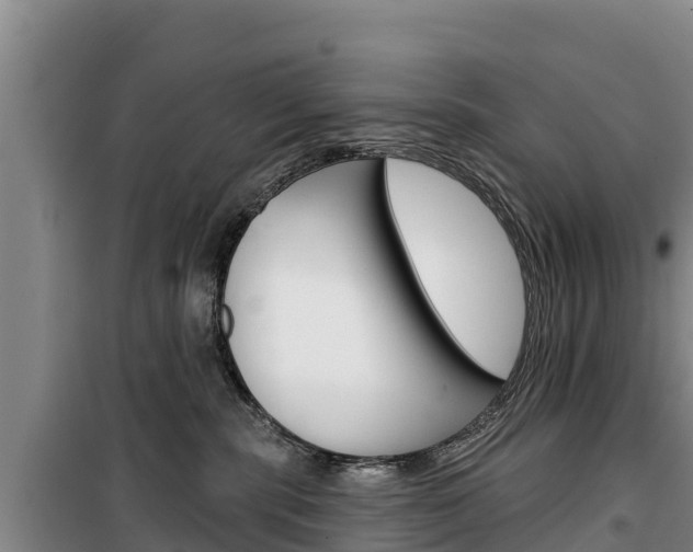 X0000100360283200806060830