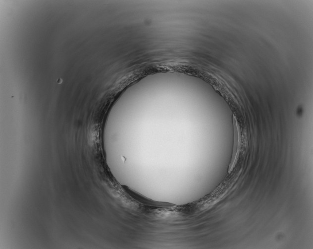 X0000100360284200806060830
