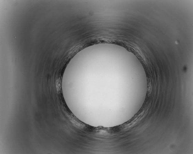 X0000100360285200806060830
