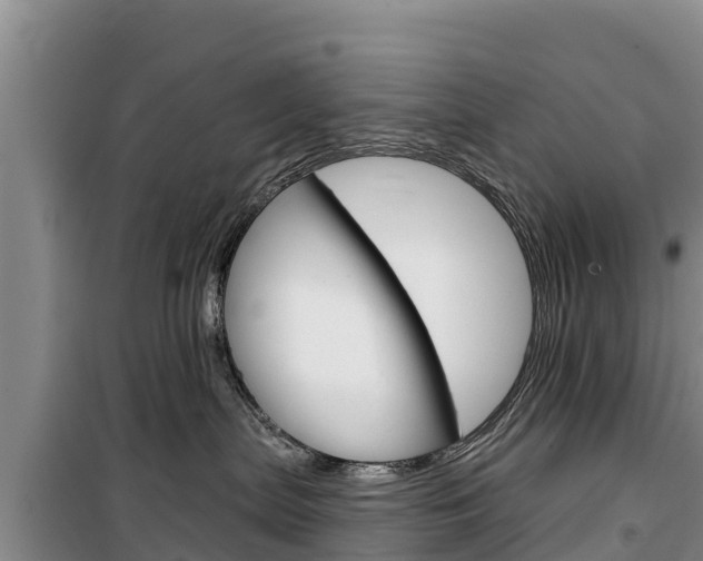 X0000100360287200806060830