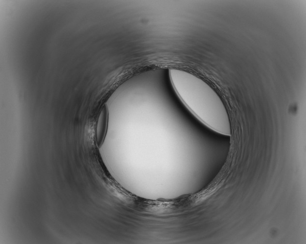 X0000100360288200806060830
