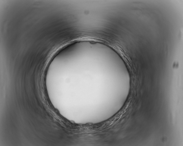 X0000100360289200806060829