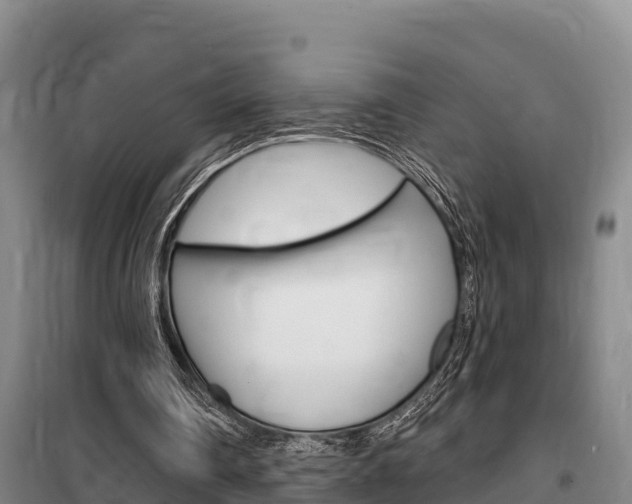 X0000100360290200806060829