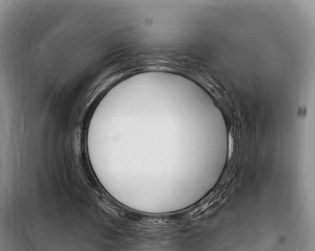 X0000100360291200806060829