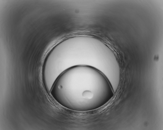 X0000100360293200806060829
