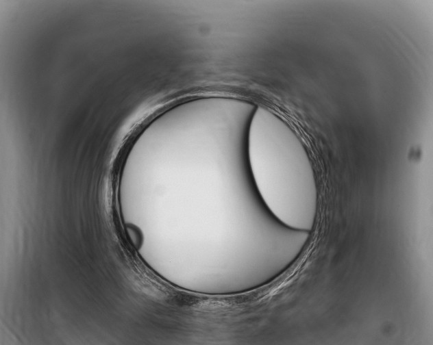 X0000100360294200806060829