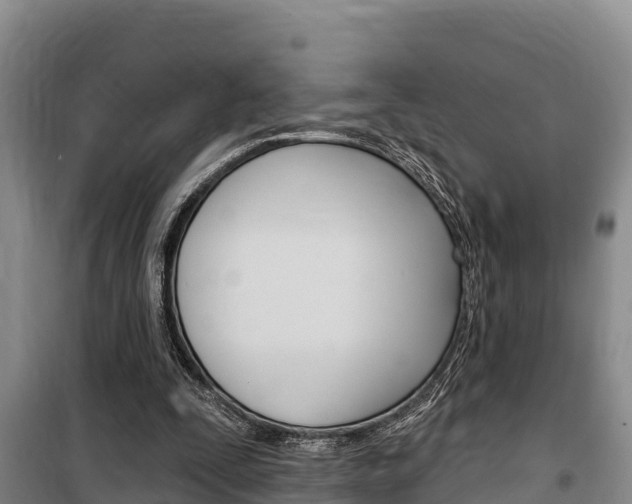 X0000100360295200806060829