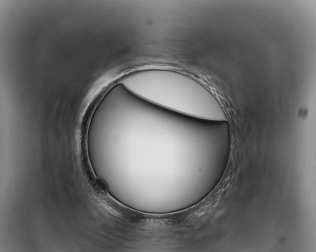 X0000100360296200806060829