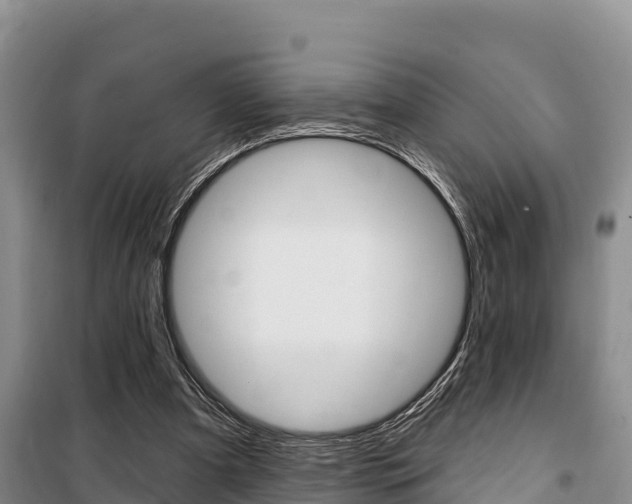 X0000100360297200806060829