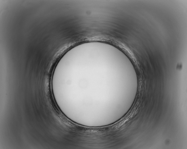 X0000100360298200806060829