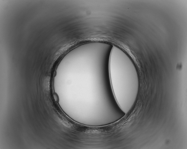 X0000100360299200806060829