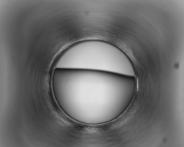 X0000100360300200806060829