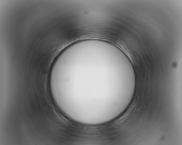 X0000100360301200806060829