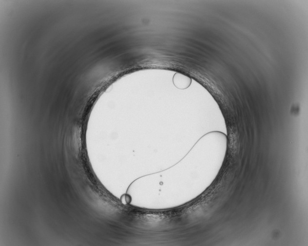 X0000100360302200806060829