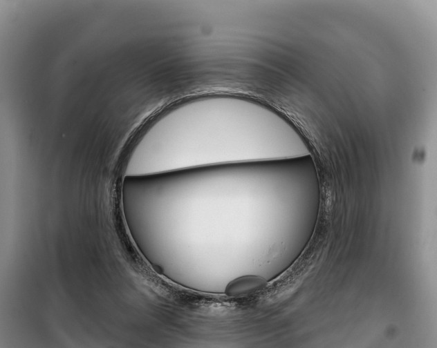 X0000100360304200806060829