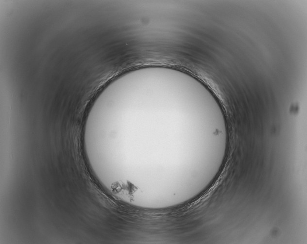 X0000100360305200806060829