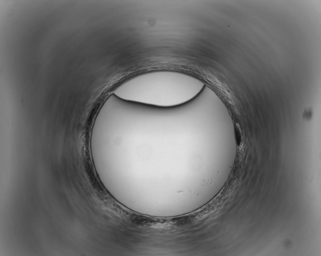 X0000100360306200806060829