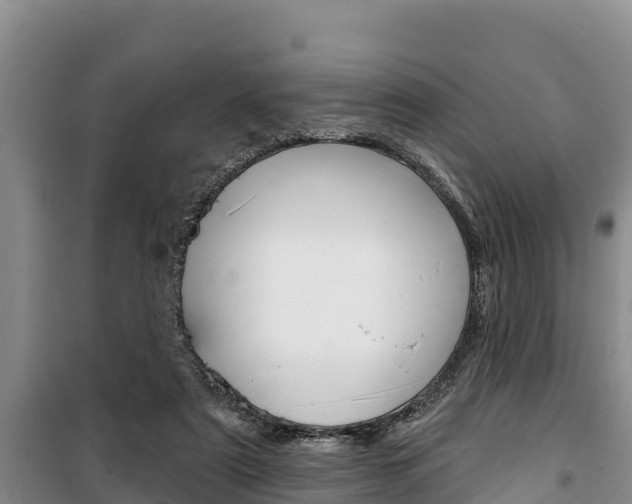 X0000100360307200806060829