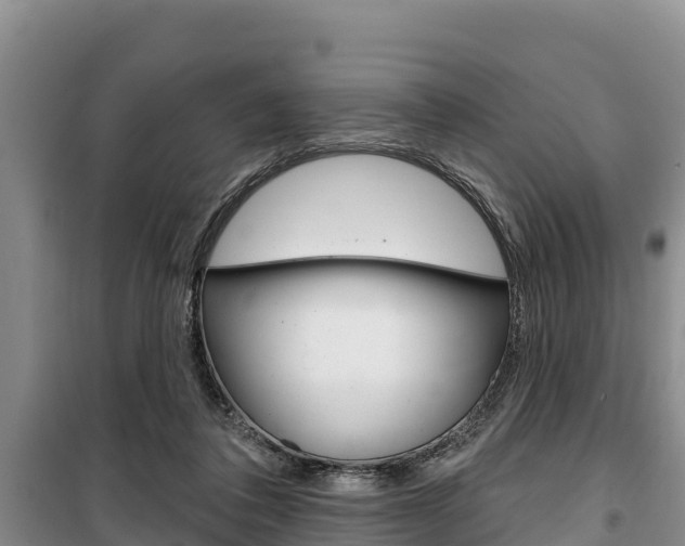 X0000100360308200806060829