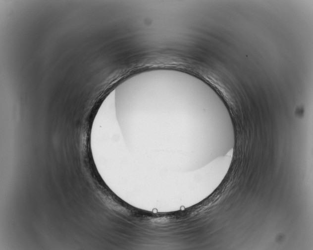 X0000100360309200806060829