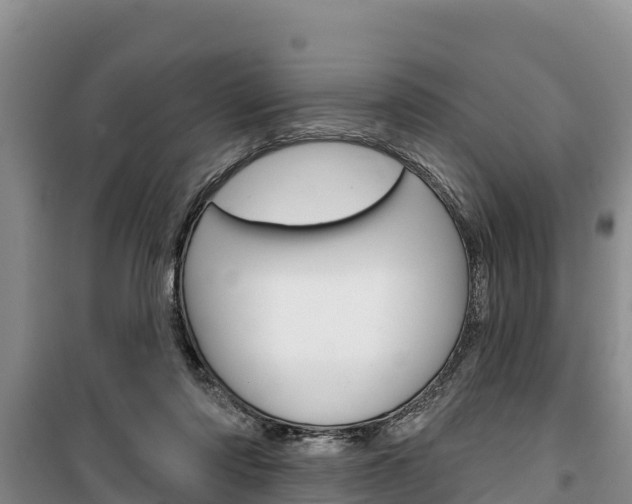 X0000100360310200806060829