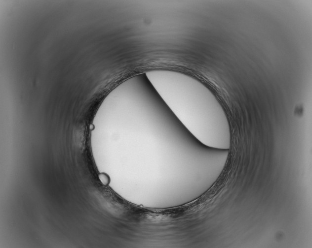 X0000100360311200806060829