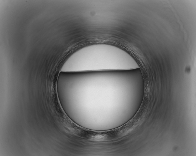 X0000100360312200806060829