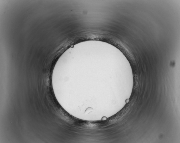 X0000100360313200806060829