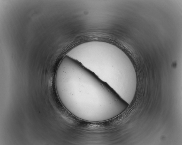 X0000100360315200806060829