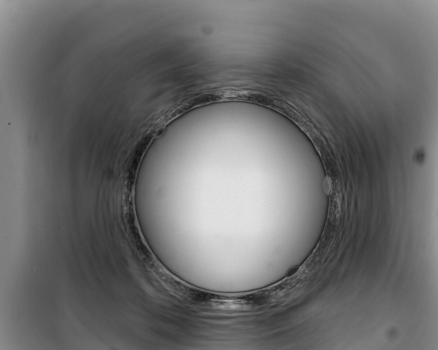 X0000100360316200806060829