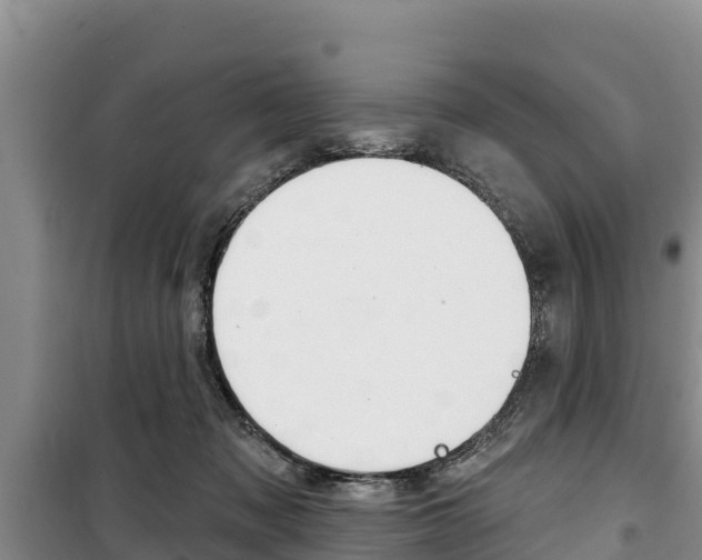 X0000100360317200806060829