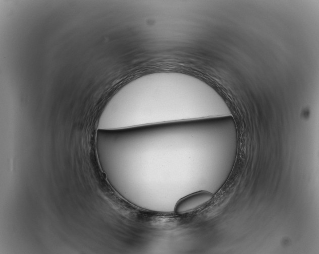 X0000100360319200806060829