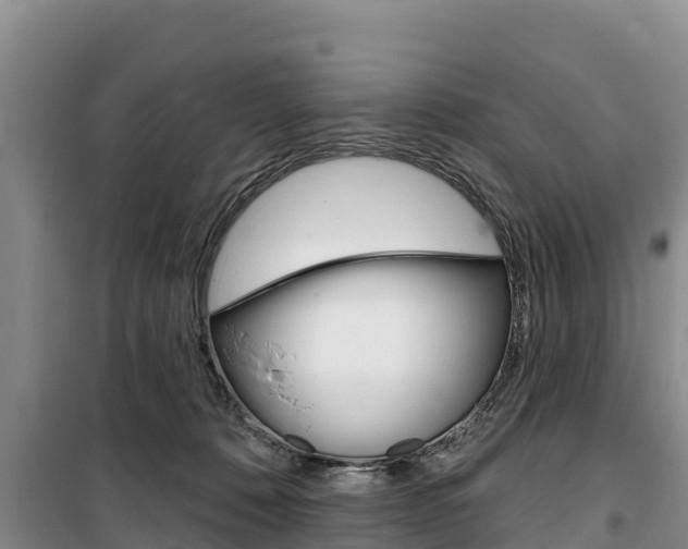 X0000100360320200806060829