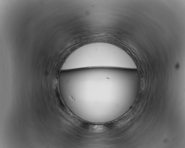 X0000100360324200806060829