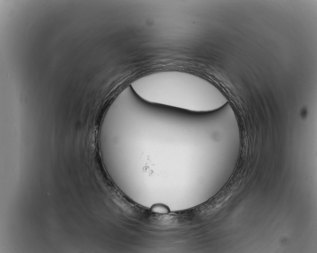 X0000100360325200806060829