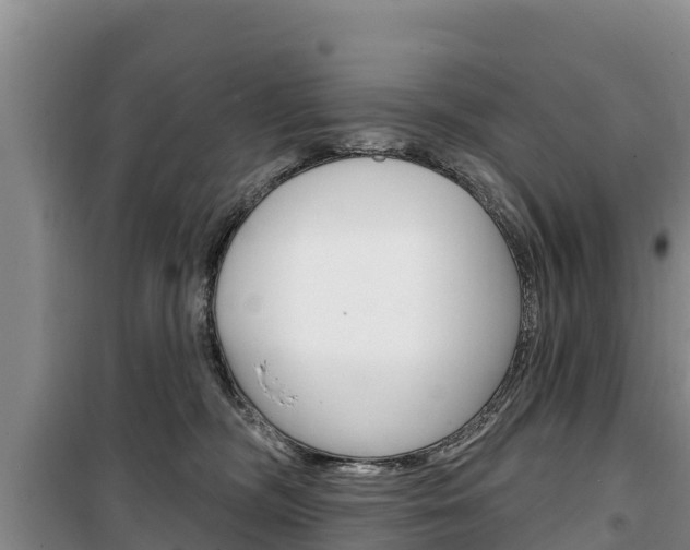 X0000100360326200806060829