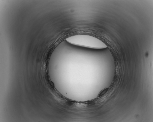X0000100360327200806060829