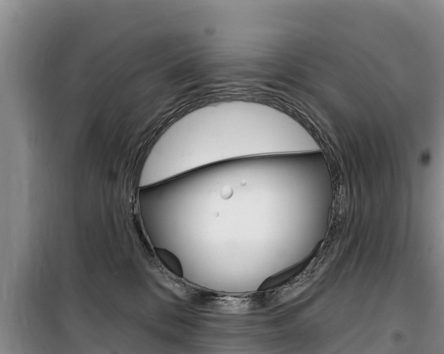 X0000100360328200806060829