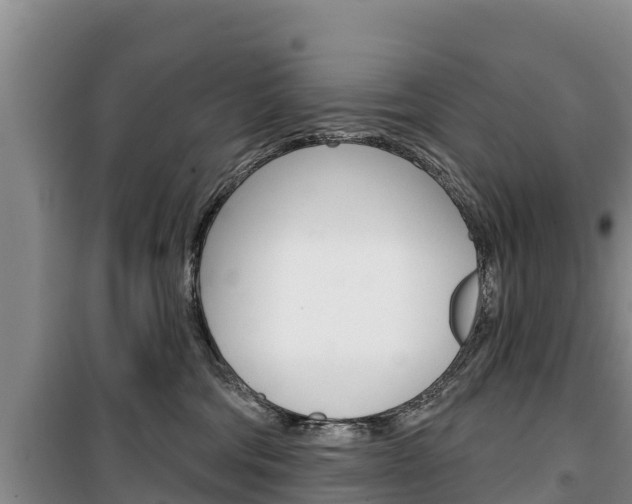 X0000100360330200806060829