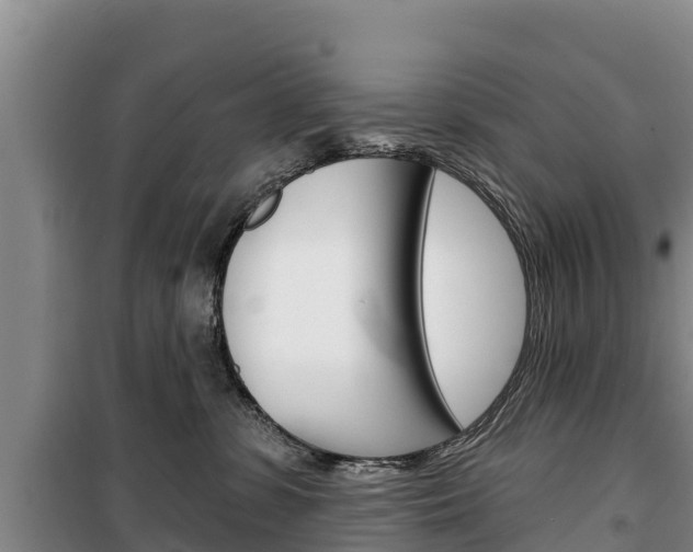 X0000100360331200806060829