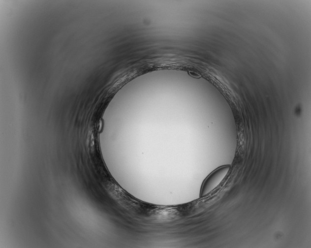 X0000100360333200806060829