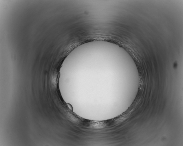 X0000100360334200806060829