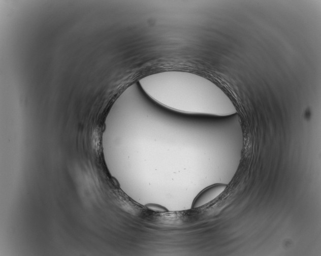 X0000100360335200806060828
